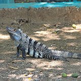 Costa Rica20150407-1944-1333